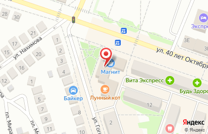 Торговая компания Горизонт, торговая компания в Павловске на карте