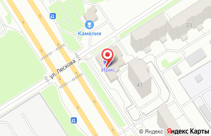 Эксперт Сетка на карте