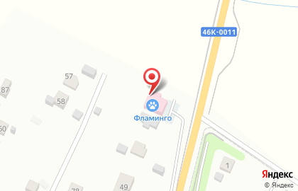 Ветеринарная клинка Фламинго на карте