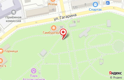 Пингвин на улице Гагарина на карте