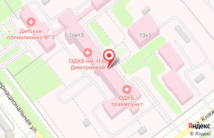 Областная детская клиническая больница им. Н.В. Дмитриевой на Интернациональной улице на карте
