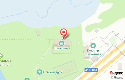 Приютино на карте