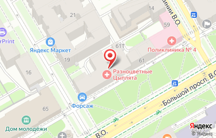 Форсаж в Василеостровском районе на карте