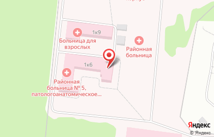 Селятинская районная больница №5 на карте