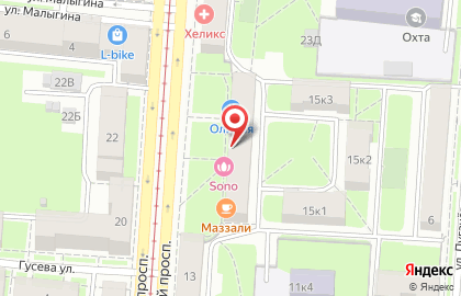 Зоомагазин Minizoomarket на Среднеохтинском проспекте на карте