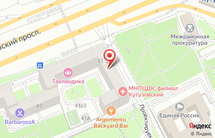 Удобный магазин Магнолия на Кутузовском проспекте, 41 на карте
