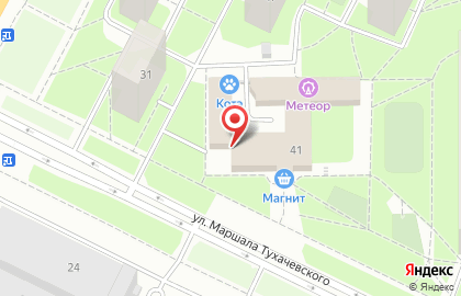 Изба на улице Маршала Тухачевского на карте