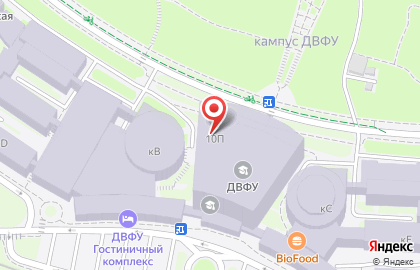 Дальневосточный федеральный университет во Владивостоке на карте