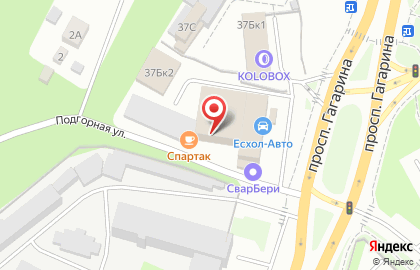 Кафе Спартак на проспекте Гагарина на карте