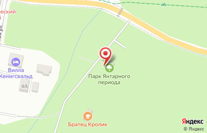 Парк Янтарного Периода на карте