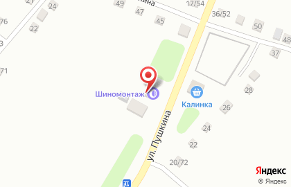Шиномонтажная мастерская на улице Пушкина на карте