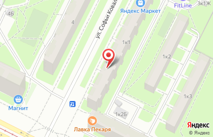 Зоомагазин PetShop.ru на улице Софьи Ковалевской на карте