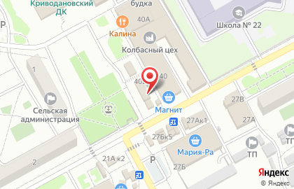 Киоск по продаже рыбы, морепродуктов, с. Криводановка на карте
