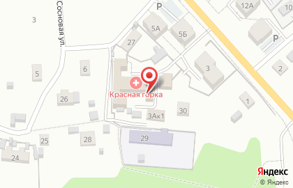 Продовольственный магазин на улице Суворова на карте