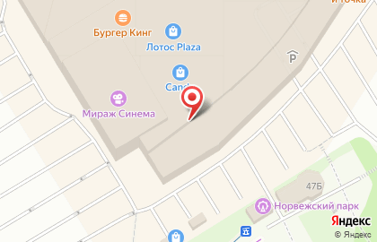 Магазин 33 пингвина на Лесном проспекте на карте