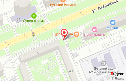 Аист на улице Академика Павлова на карте