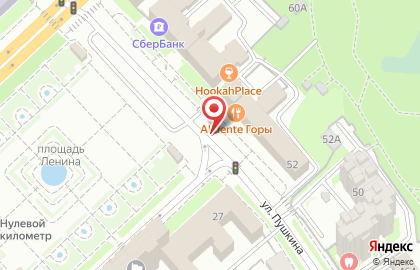 Центр почерковедческих экспертиз на улице Пушкина на карте