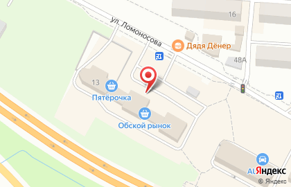 Киоск по продаже зоотоваров, г. Обь на улице Ломоносова на карте