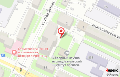 АллеЯ на улице Добролюбова на карте