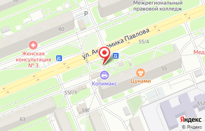 Невский Проспект на улице Академика Павлова на карте
