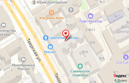 Кактус на Тверской улице на карте