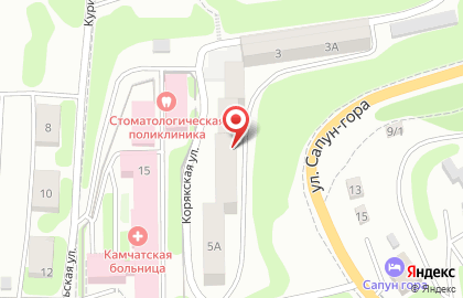 Спортивная школа олимпийского резерва тхэквондо в Петропавловске-Камчатском на карте