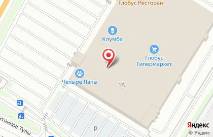 Зоомагазин 4 лапы в Туле на карте