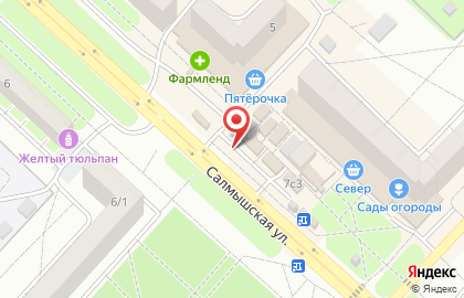 Летний Луг на Салмышской улице на карте