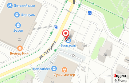 Пекарня Мистер Мельник на улице Гагарина на карте