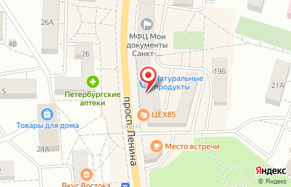 Магазин бытовой техники на проспекте Ленина (Курортный район), 19 на карте