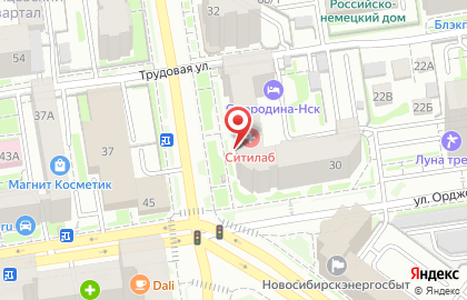 Арт-мастерская Новосибирская театральная школа на улице Семьи Шамшиных на карте