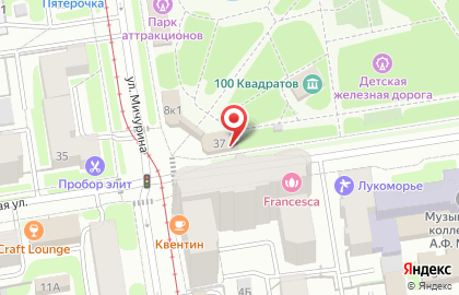 Штолле на Ядринцевской улице на карте