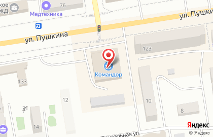 Магазин посуды Shapiro на улице Пушкина на карте