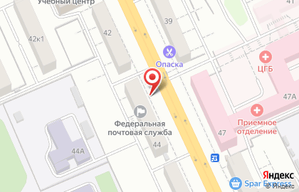 Зоомагазин Тортила на проспекте Ленина на карте