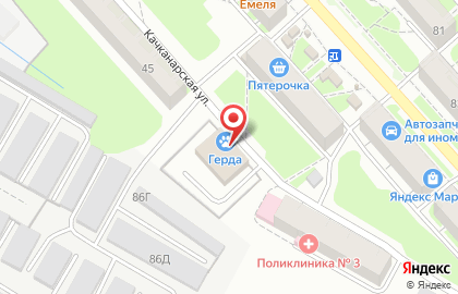 Ветеринарная клиника Герда на улице Академика Веденеева на карте