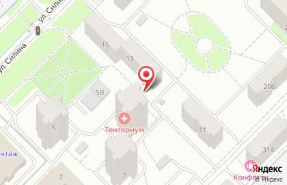 Школа скорочтения и развития памяти на улице Силина на карте