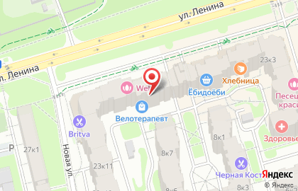 Магазин фиксированных цен Еврошоп на улице Ленина на карте