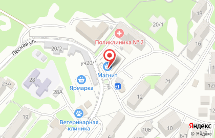 Супермаркет Магнит на Лесной на карте