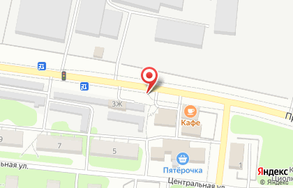 Мясная лавка на Центральной улице на карте