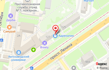 Центр Адреналин в Автозаводском районе на карте