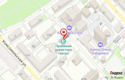 Краевое государственное бюджетное научное учреждение культуры Дальневосточная государственная научная библиотека в Центральном районе на карте