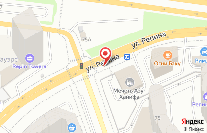 Транспортная компания ТНК ТРАСТ на улице Репина на карте