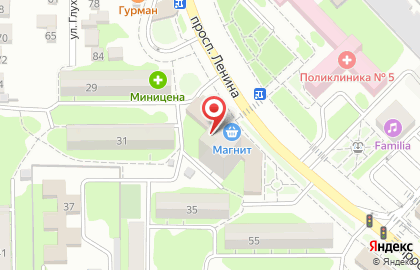 Скорая ветеринарная помощь на проспекте Ленина на карте