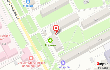 Бренд на улице Братьев Игнатовых на карте