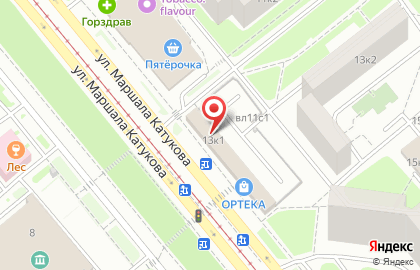 Зоомагазин Бонифаций на улице Маршала Катукова на карте