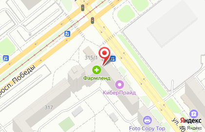 Магазин колбасных изделий Дубровские колбасы на проспекте Победы, 315 на карте