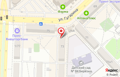 Профессиональная типография Фотэкс на улице Гагарина на карте