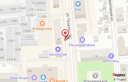Медицинская компания Инвитро на улице Пушкина на карте