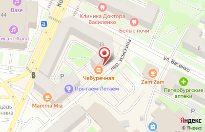 Магазин оптики Балтоптика на Кондратьевском проспекте на карте