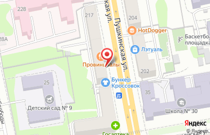 Служба курьерской доставки СберЛогистика на Пушкинской улице на карте